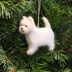 a small white dog ornament hanging from a christmas tree with pine branches in the background