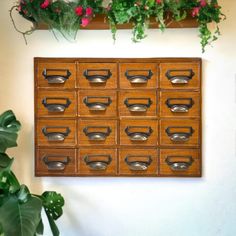 a bunch of glasses are hanging on the wall next to some plants and potted plants