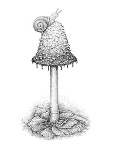 a drawing of a snail on top of a mushroom