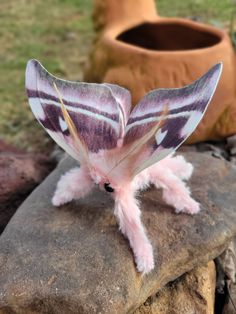 a purple and white moth sitting on top of a rock