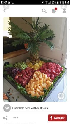 a bunch of different types of food on a table with a palm tree in the middle