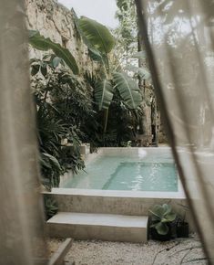 an outdoor swimming pool surrounded by greenery