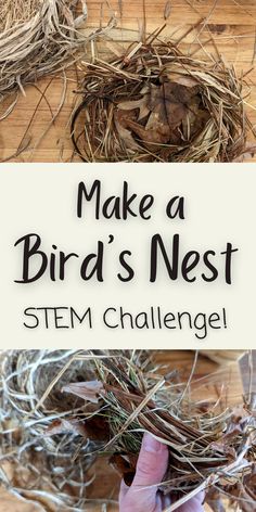 simple bird's nest made out of dried grass and leaves on a wooden board next to a robin's nest.  Tan rectangle in the middle with text overlay.  A hand holding a hand made bird's nest below. Bird Themed Activities For Kids, How To Make Bird Nest, Nest Crafts For Preschoolers, Bird Games For Kids, Bird Science Activities Preschool, Nest Preschool Craft, Bird Activities For Kids, Make A Birds Nest, Birds Nest Craft