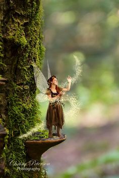 a fairy figurine is standing on a mossy tree