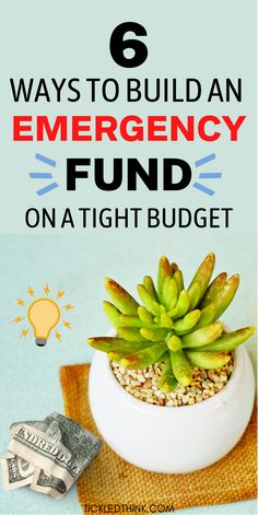 a potted plant sitting on top of a table next to money and the words 6 ways to build an emergency fund on a tight budget