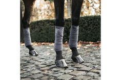 the legs and feet of two horses on cobblestone pavement with trees in the background