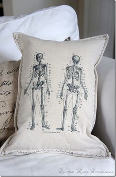 a pillow with a skeleton and human body on it