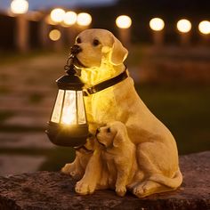 two puppies are sitting on a rock with a lantern in their mouth and lights behind them