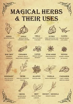 This Digital Prints item by RealWizardry has 789 favorites from Etsy shoppers. Ships from United States. Listed on 09 May, 2024 Herbs And Their Uses, Witchy Kitchen, Materi Bahasa Jepang, Magia Das Ervas