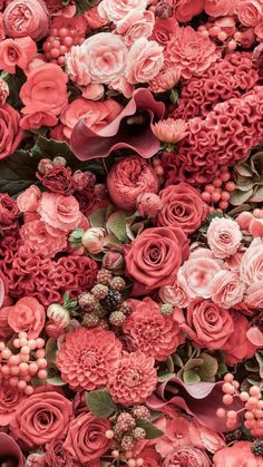 red and pink flowers with green leaves in the middle, on top of each other