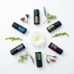 Essential Oils Health, Doterra Oils, Flat Lays, Managing Emotions, Oil Uses, Oil Blends, Doterra Essential Oils, Diffuser Blends, Essential Oil Recipes