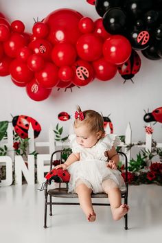 Ladybug Birthday Decorations, Ladybug Decorations, Ladybug Birthday Party, 1st Birthday Party For Girls, Ladybug Theme, 1st Birthday Pictures, 1st Birthday Photoshoot, Baby Birthday Themes, Ladybug Birthday