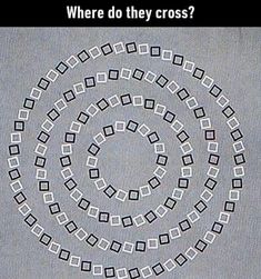 an image of a circular pattern with the words where do they cross?