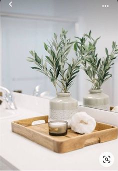 two vases with plants in them sitting on a bathroom counter top next to a candle