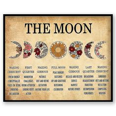 a poster with the phases of the moon