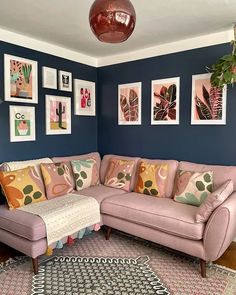 a living room with blue walls and pictures on the wall, pink sectional sofa in foreground