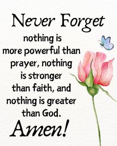 a pink rose with a butterfly on it and the quote never forget nothing is more powerful than