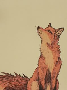 a drawing of a fox looking up at the sky