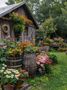 an old wooden shed with flowers growing out of it