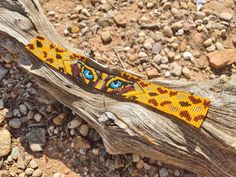 Jaguar Hatband Beaded 🐆  High quality beaded hatband adjustable to fit around any hat. Handmade in Colombia with chaquira glass beads. This is a one of a kind piece, only one available 🐆 Love  Anja Adjustable Artisan Beaded Bracelet, Unique Adjustable Hat Bands For Festivals, Handmade Adjustable Headband For The Beach, Handmade Adjustable Headband, Traditional Adjustable Beaded Necklaces With Bead Caps, Adjustable Beaded Bohemian Headband, Adjustable Bohemian Beaded Headband, Unique Adjustable Brown Hat Bands, Adjustable Beaded Necklaces With Bead Caps