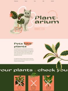 the website for plants and flowers is shown in three different colors, including pink, green,