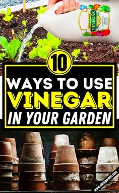 a sign that says 10 ways to use vinegar in your garden