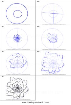 how to draw a flower step by step instructions for beginners and advanced drawing students