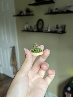 a person holding a tiny plant in their hand