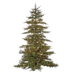 a tall christmas tree with lights on it's branches and no decorations in front of a white background