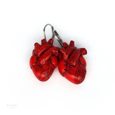 Realistic anatomical heart earrings.The size of a heart is about 2,7x2 cm (1.1x0.8 in)Length of earrings is about 4 cm (1.6 in)Material: polymer clay, stainless steel hooks.I can make а hearts into other colors, just contact me.♥ Anatomical Heart Necklace https://www.etsy.com/listing/622242407/anatomical-heart-necklace-gift-for♥ Anatomical Heart Pin https://www.etsy.com/listing/655838975/anatomical-heart-pin-realistic-anatomy♥ Anatomical Heart Ring https://www.etsy.com/listing/772870229/anatomic Realistic Anatomy, Spooky Miniatures, Anatomy Heart, Anatomical Heart Necklace, Shared Closet, Weird Jewelry, Student Nurse, Fruit Jewelry, Earrings Halloween