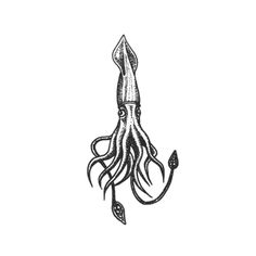 an octopus with long tentacles is shown in black ink on a white background, it's head turned to the side