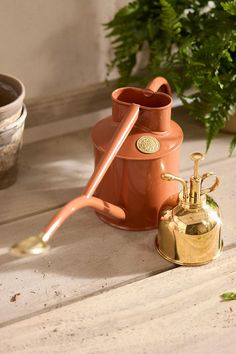 an orange watering can next to a brass faucet and potted plant