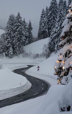 a winding road in the middle of a snowy landscape with evergreen trees on either side