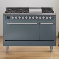 a stove top oven sitting next to a potted plant on a hard wood floor