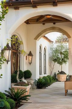 an outdoor patio with potted plants and chairs on the side walk, surrounded by greenery