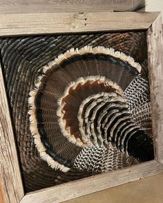 a close up of a turkey's feathers in a wooden frame