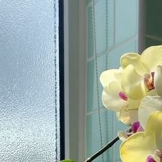 a vase filled with yellow and white flowers next to a window sill on a sunny day