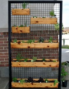 an outdoor garden with wooden planters and plants growing in them on the side of a building