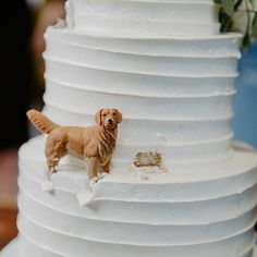 a dog figurine sitting on top of a white tiered cake covered in frosting