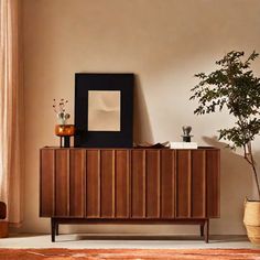 a living room with a wooden cabinet and potted plant