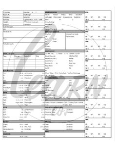 the printable form is shown for each individual to use