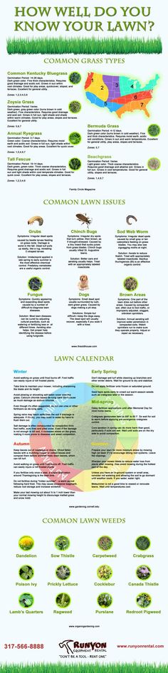 an info sheet showing the different types of plants and animals in each region of the world