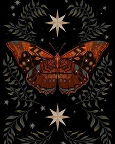 an orange butterfly sitting on top of a leafy branch with stars in the background