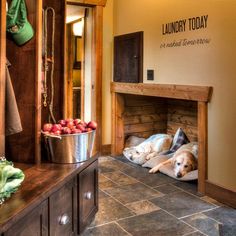 two dogs laying on the floor in front of an open fire place with apples and cucumbers