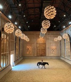 a horse is standing in an empty room with chandeliers hanging from the ceiling