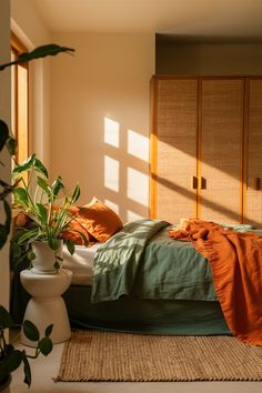 a bed sitting in a bedroom next to a plant and potted plant on top of a rug