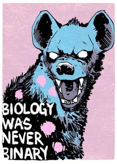 a drawing of a blue bear with the words biology was never ordinary on it's chest