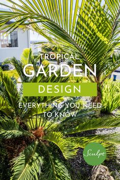 tropical garden design everything you need to know