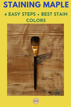 a brush sitting on top of a wooden table with the title staining maple 4 easy steps and best stain colors