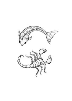 a drawing of a scorpion and fish on a white background with the word scork below it